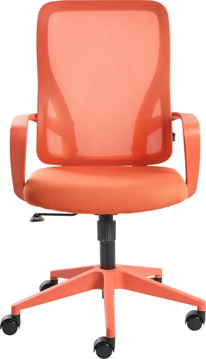 Image du produit Beliani Luma (40 - 47 cm)