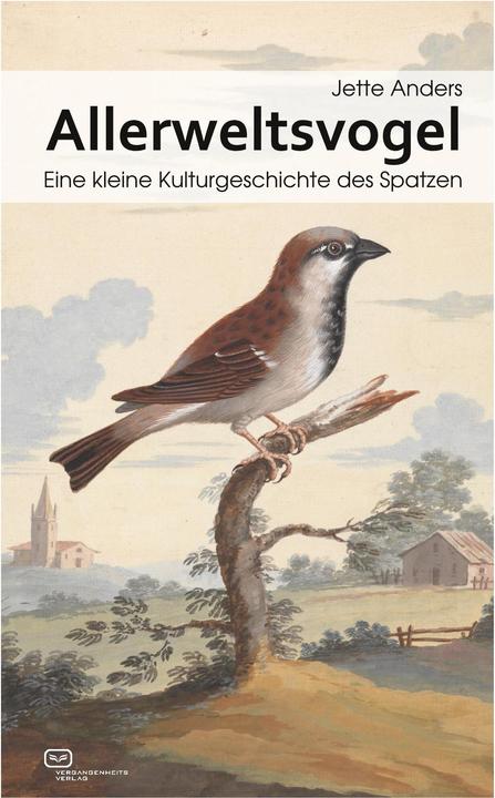 Produktbild Allerweltsvogel (Deutsch, Jette Anders, 2024)