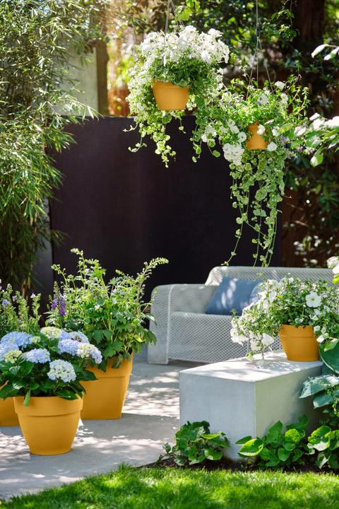 Produktbild Elho Vibia Campana (20 x 17 cm)