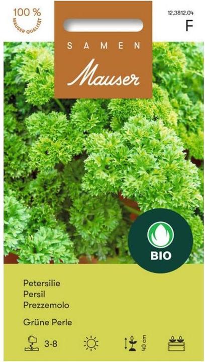 Image du produit Samen Mauser Perle verte (Graines d'herbes aromatiques)