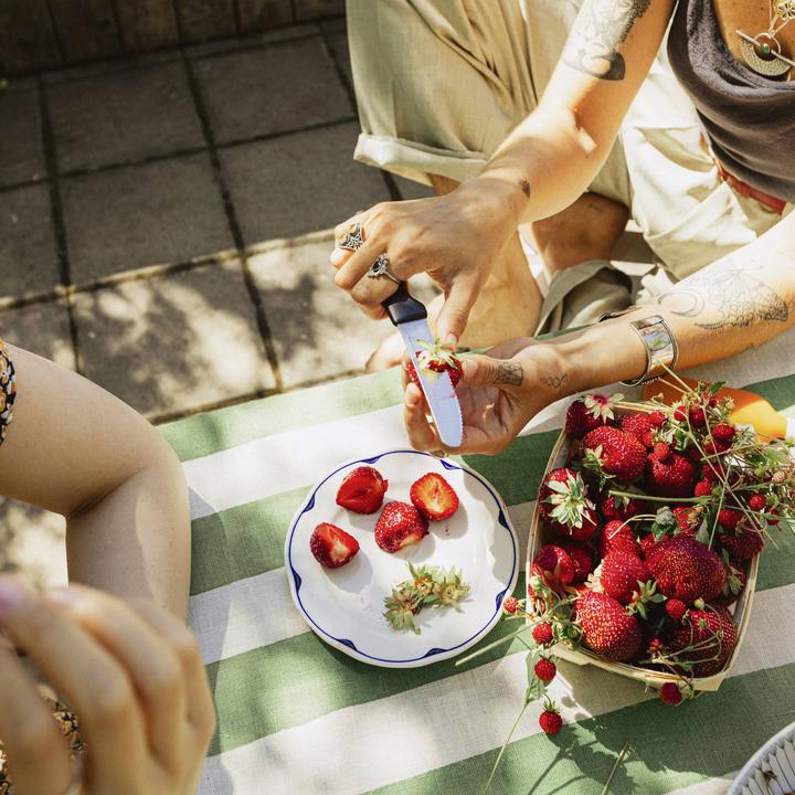 Produktbild Fiskars Functional Form knife for tomatoes (11.30 cm)