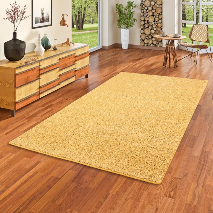 Produktbild Snapstyle Hochflor Velours Teppich Mona (80 x 200 cm)