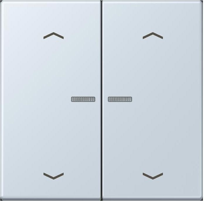 JUNG BTLC17102P209 HOME push button