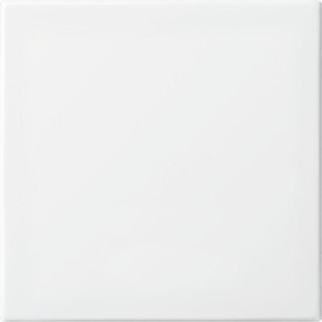 Busch-Jaeger Elemento di controllo BT, Pulsante + Interruttore, Bianco