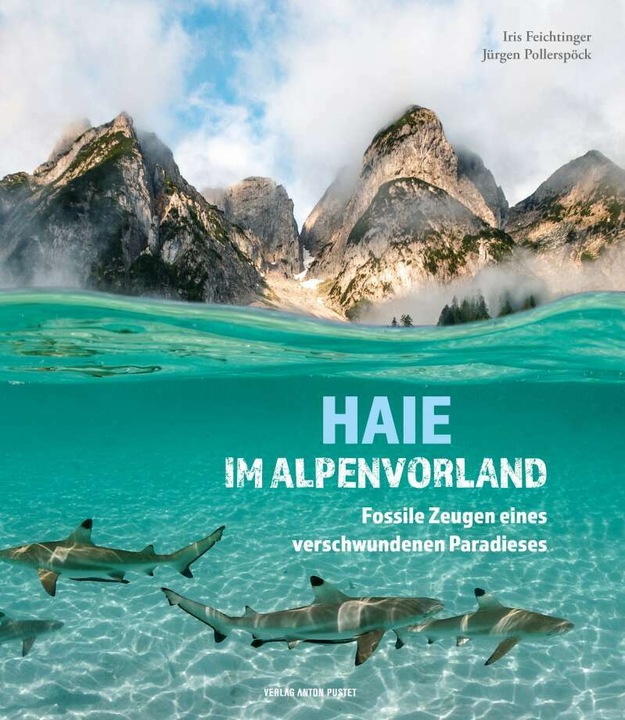 Produktbild Haie im Alpenvorland (Deutsch, Iris Feichtinger, Jürgen Pollerspöck, 2021)