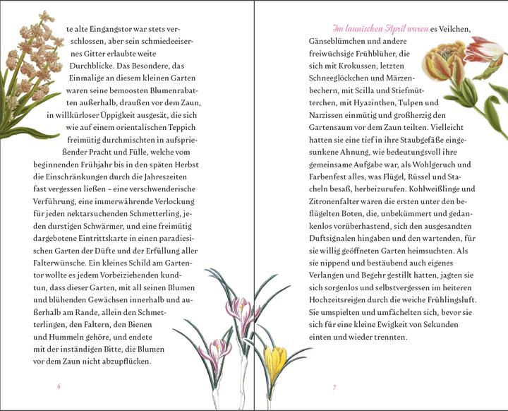 Produktbild Der kleine Schmetterlingsgarten (Deutsch, Rosemarie Doms, 2017)