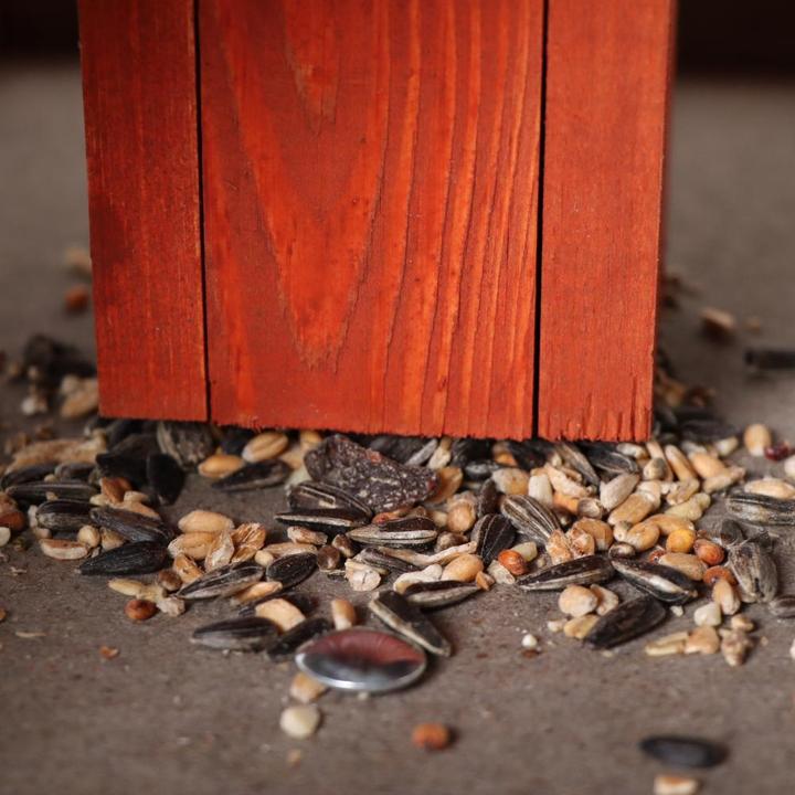 Actual product image Siena Garden Birdhouse