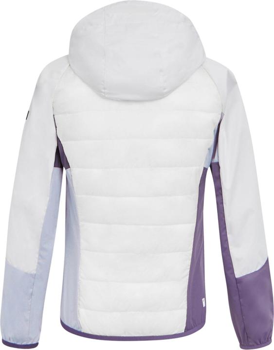 Produktbild Regatta Andreson Pro Hybridjacke (34)