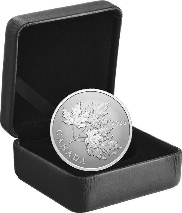 Image du produit The Royal Mint Silber Gleaming Maple Leaf 1/2 oz RP - 2026 (1.00, 2026)