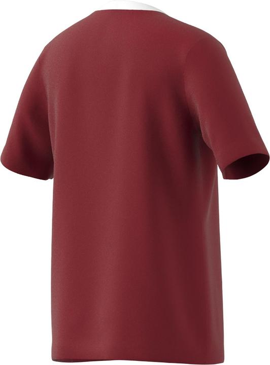 Produktbild adidas Entrada 22 Trikot (128)
