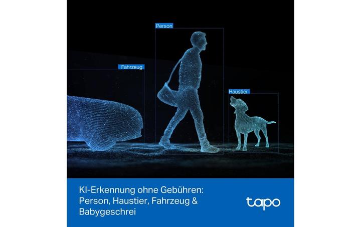 Produktbild TP-Link Netzwerkkamera Tapo C246D 2K QHD, 2.4 GHz, 360° (2304 x 1296 Pixels)