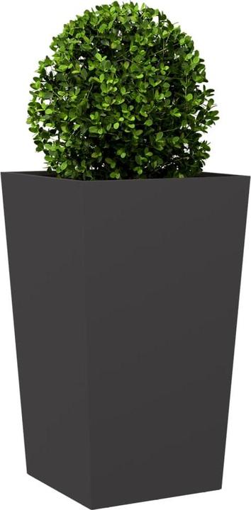 Produktbild vidaXL Pflanzkübel