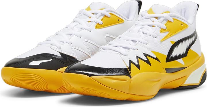 Puma Genetics