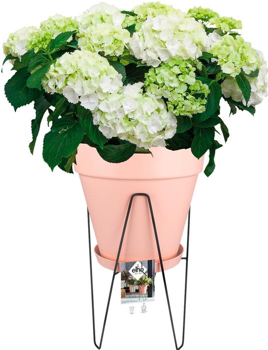 Image du produit Elho Loft Urban Frame