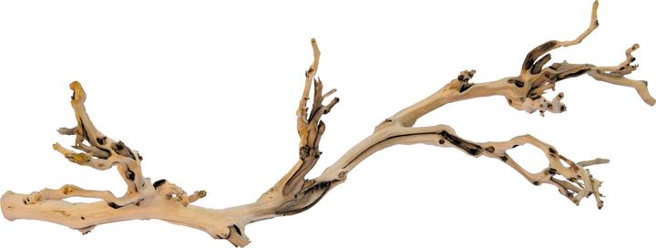 Image du produit Exo Terra Kit de décoration pied de vigne sablé