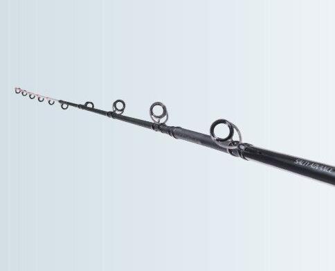 Produktbild Shimano Salty Advance 60-80g (Allroundrute, 290 cm)