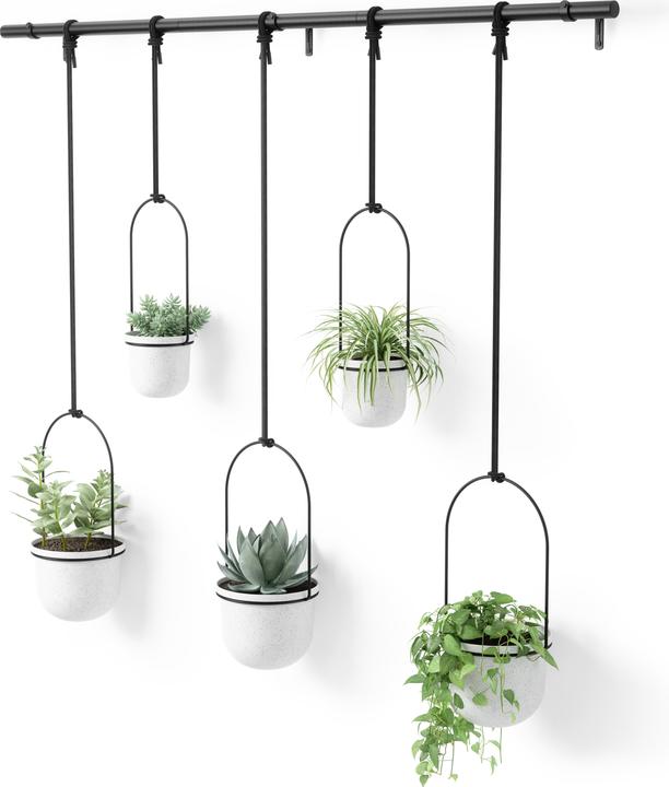 Produktbild Umbra Triflora (15 x 94 cm)