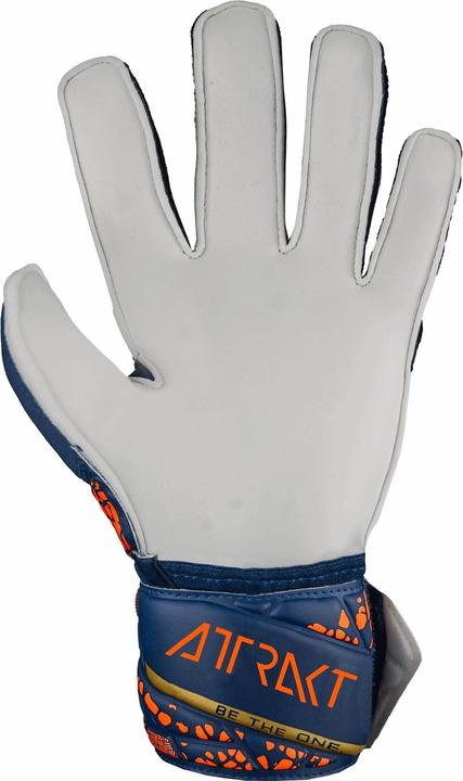 Actual product image Reusch Attrakt Solid (6)