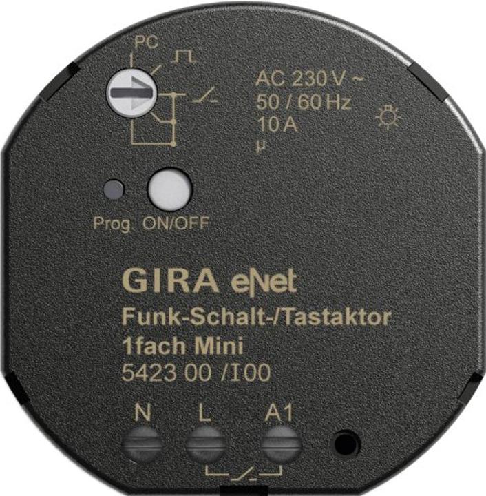 Actual product image Gira Radio (Switch actuator)