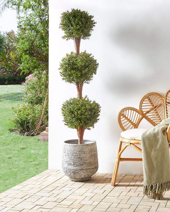 Immagine prodotto Beliani Buxus Ball Tree (154 cm)