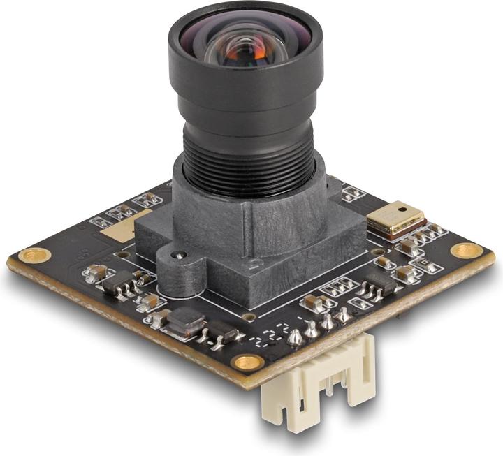 Immagine prodotto Delock Modulo fotocamera USB 2.0 con WDR 2,1 megapixel IMX291LQR-C (Fotocamera)