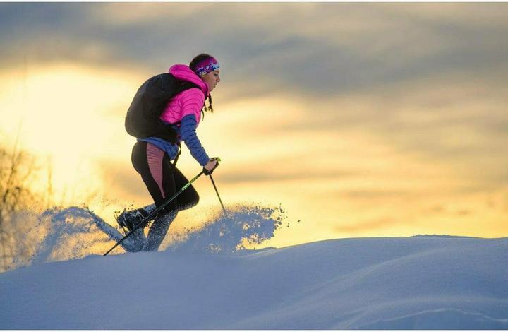Produktbild Welltravel Schneeschuhe Triangel (25.20")