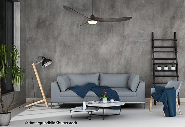 Image du produit CasaFan Eco Genuino-L (20 dB)