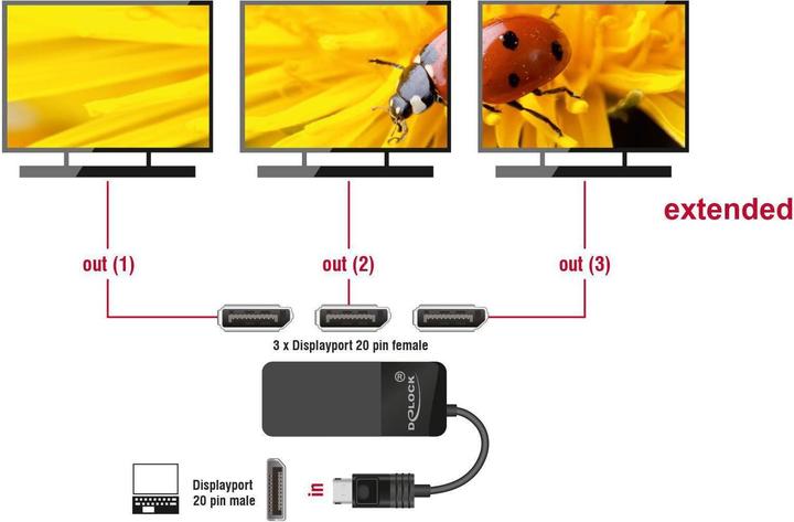 Image du produit Delock Signalsplitter (23 cm)
