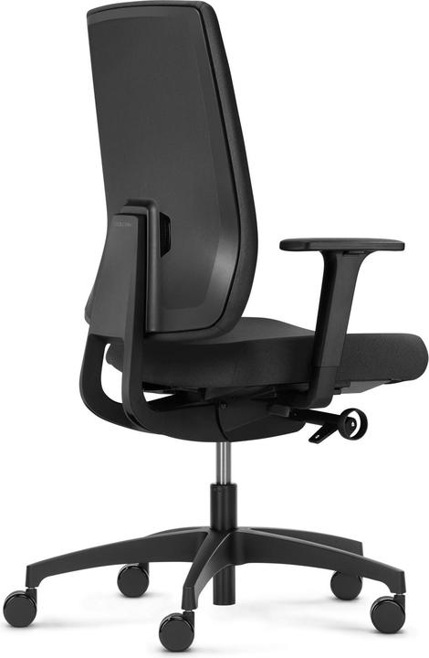 Actual product image Dauphin Indeed (40 - 52 cm)