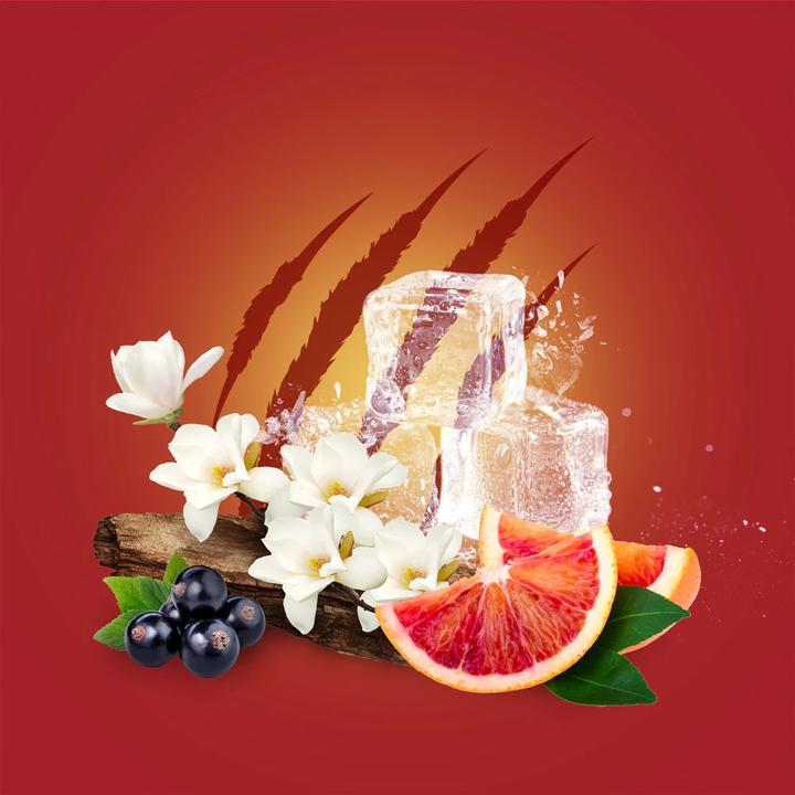 Image du produit Old Spice Déodorant Stick Tigerclaw (Stick)