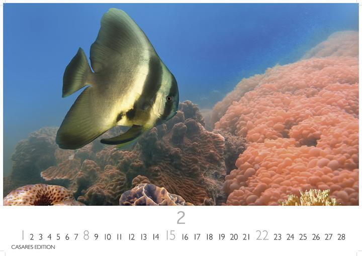 Actual product image Unterwasserwelten 2026 S 24x35cm (24 x 35 cm)