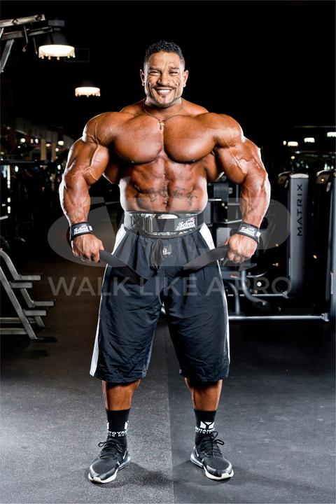 Actual product image Schiek Lifting Straps