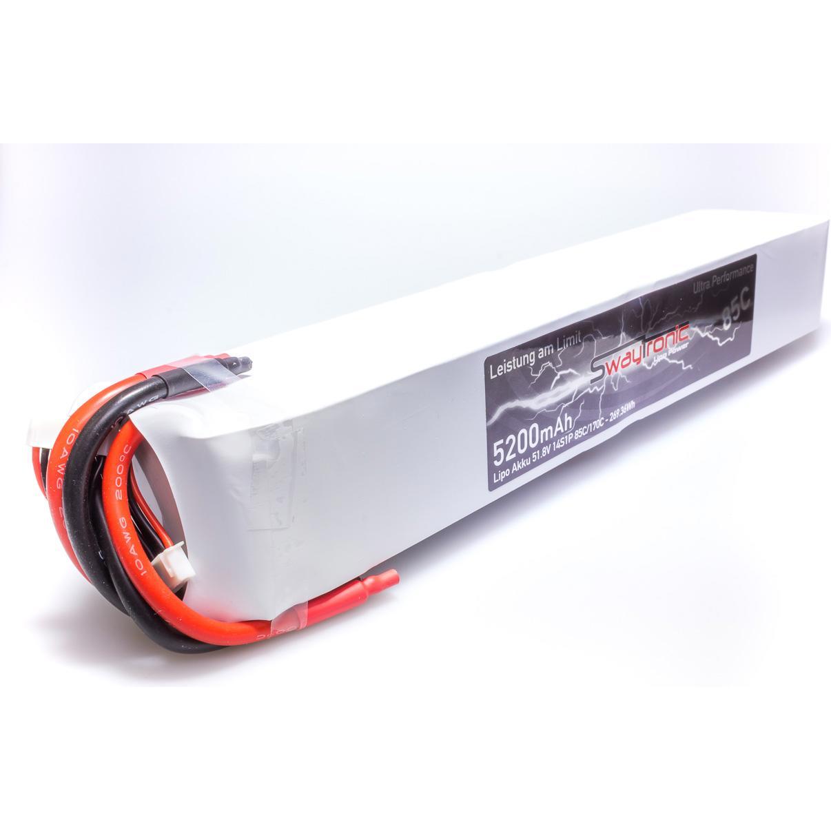 Swaytronic Akku (51.80 V, 5200 mAh)