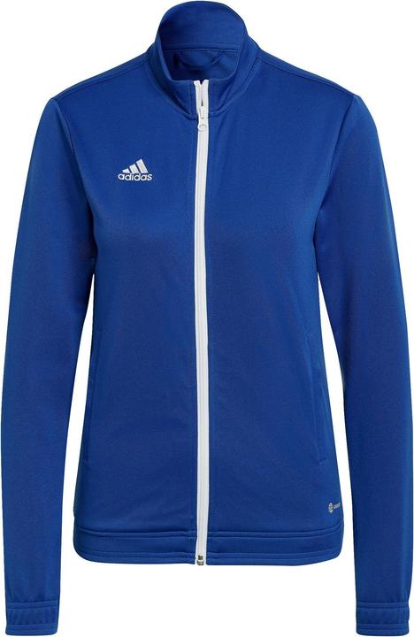 Actual product image adidas Entrada 22 women's training jacket (XS)