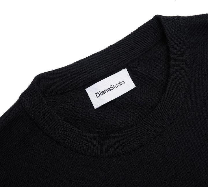 Actual product image Diana Studio Round Neck Sweater (L)