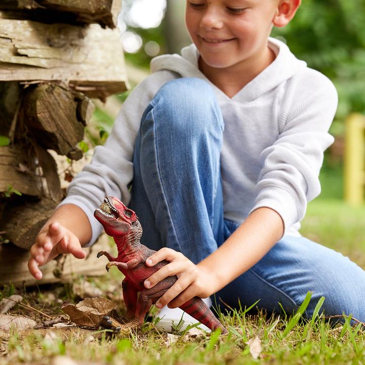 Image du produit Schleich Tyrannosaurus Rex