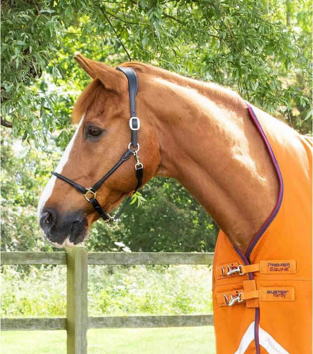 Image du produit Premier Equine Buster Hardy 200 g (191 cm)