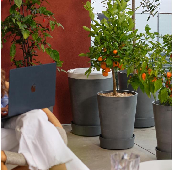 Produktbild Boum 3 Wassertank & Steuerung (Tropfbewässerung Basisgerät)