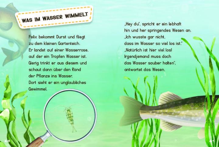 Produktbild Unsichtbare Tiere (Deutsch, Dencker Isabel, Sanna Wandtke, 2023)