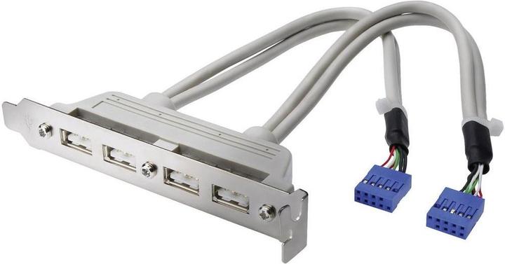 Produktbild Digitus ASSMANN USB Slotblechkabel 4x Typ A - 2x10pin IDC Bu/Bu 0,25m USB 2.0 kompatibel be