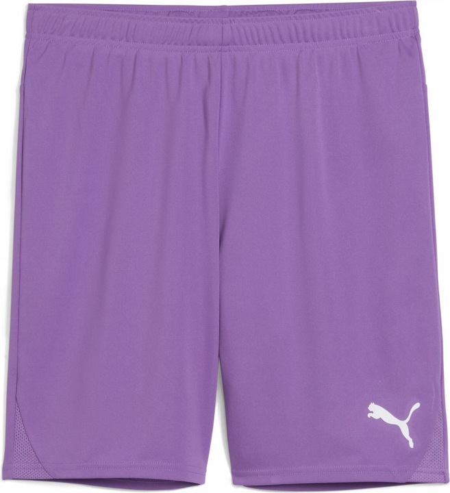 Actual product image Puma teamGOAL shorts (M)