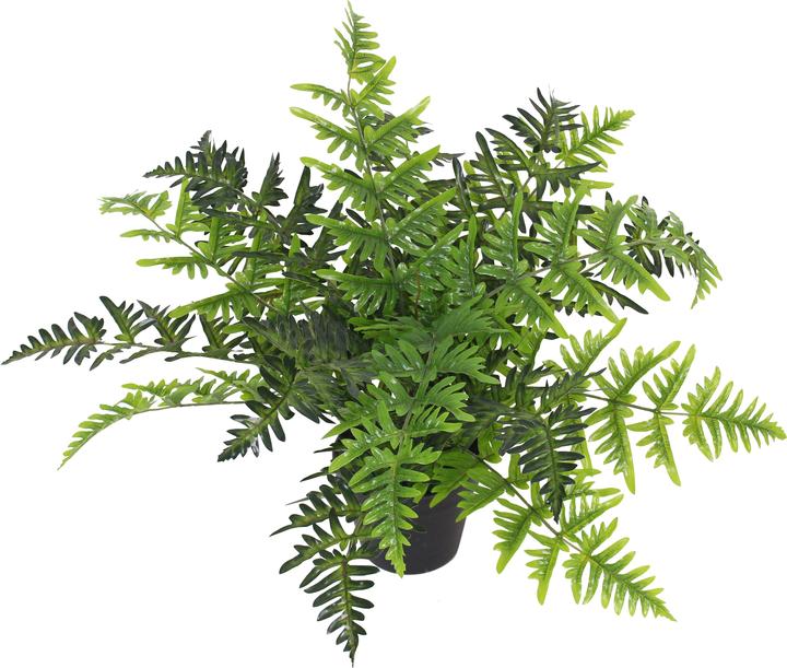 Paperflow FARN Kunstpflanze 55,0 cm (120 cm)