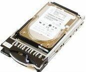 Actual product image IBM Hard disk - 73.4 GB - Hot-Swap (0.07 TB, 3.5")