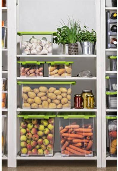 Produktbild Rotho Evo Safe (28.30 cm, 11 l, 1x)