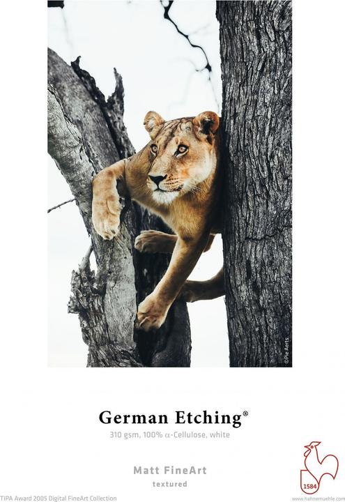 Image du produit Hahnemühle German Etching A 3 blanc naturel, 310 g, 25 feuilles (310 g/m², A3, 25 x)