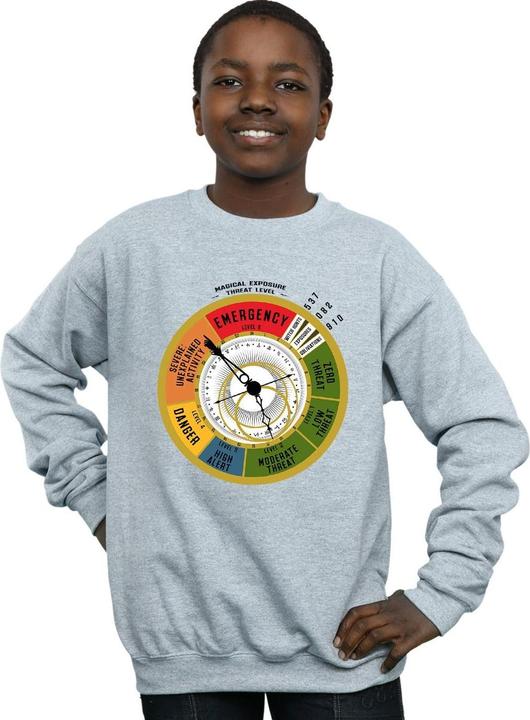 Produktbild Fantastic Beasts Threat Level Sweatshirt Jungen (152, 158)