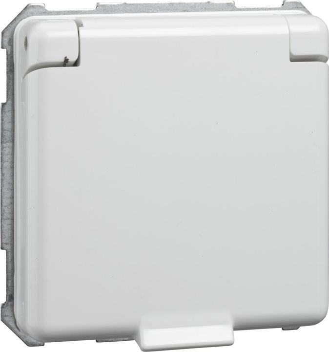 Actual product image ELSO Socket