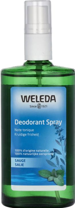 Actual product image Weleda Deodorant - 100 ml (Spray, 100 ml)