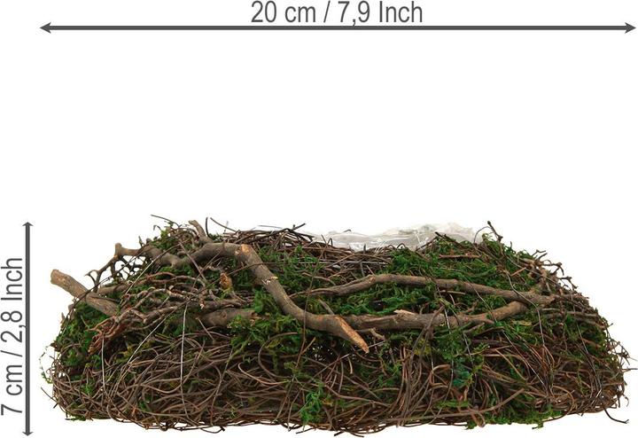 Actual product image Viana Runde Pflanzschale Moos und Reben (7 cm)