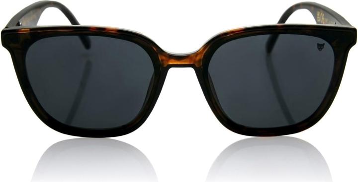 Produktbild Marc Lauder Player